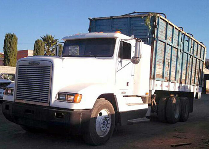 camion+ camión
