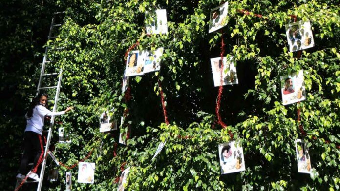 desaparecidos desaparecidos