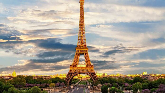 francia francia