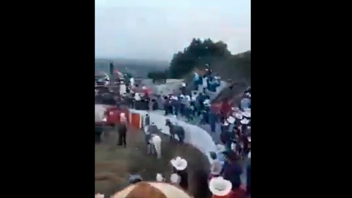 toros toro