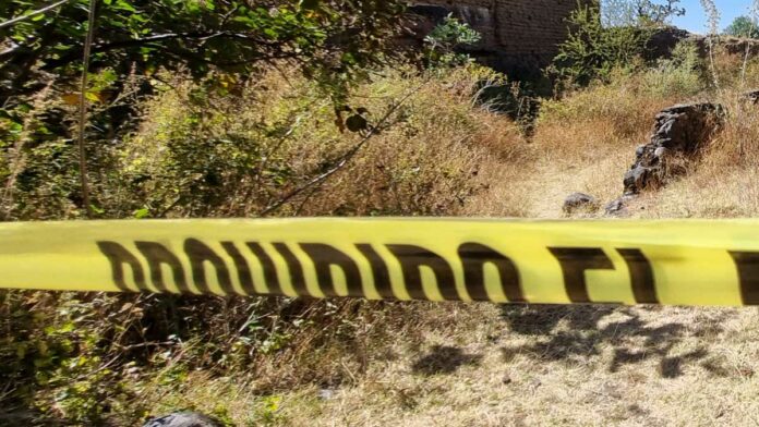 feminicidios feminicidios