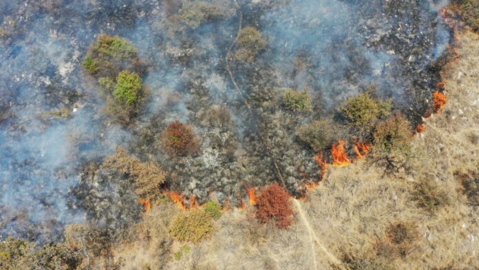 incendio Este incendio tiene preocupados a los vecinos debido a la cercanía con el fraccionamiento Bosques de Chapultepec.