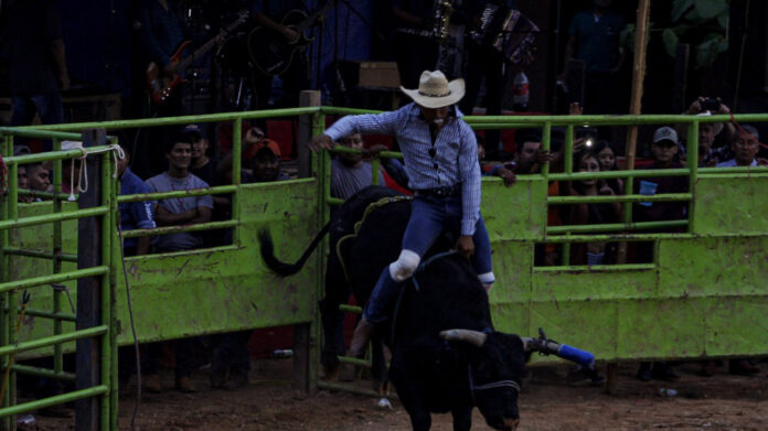 toro Un toro escapó de un corral para embestir a los asistentes que disfrutaban de un jaripeo en la localidad de Viborillas de Hidalgo,. Foto: EsImagen // Ilustrativa