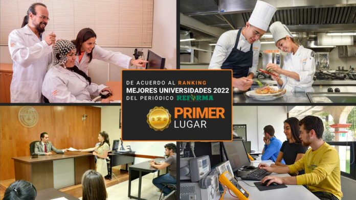 Licenciaturas Licenciaturas