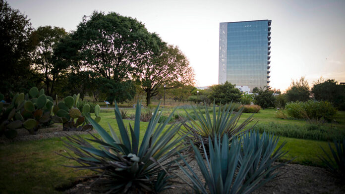 jardin-botanico