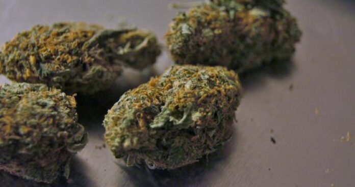 marijuana-1414002-1920_10_670x355