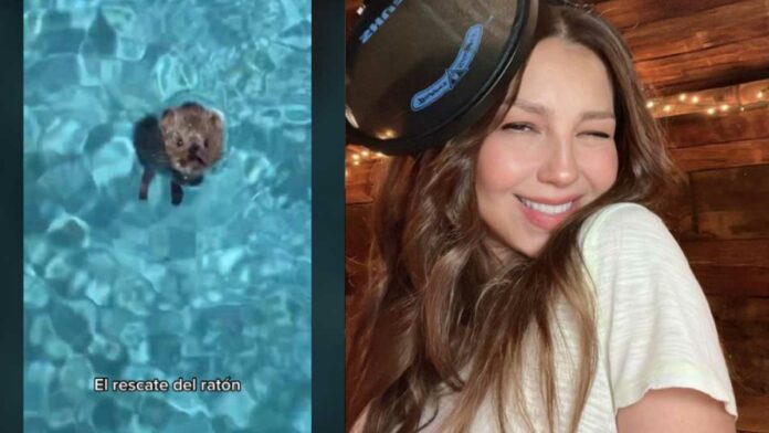 Thalía Thalía