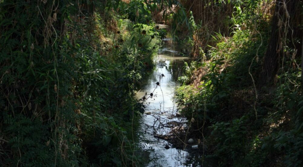 Conagua investiga contaminación al río Rabanillo en Cholula » Oronoticias