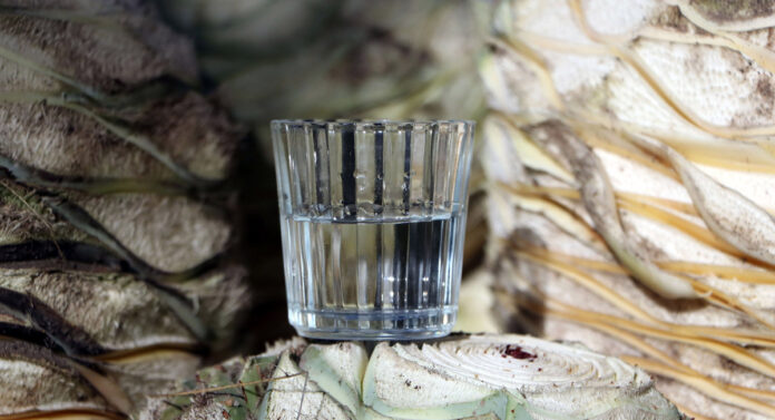mezcal