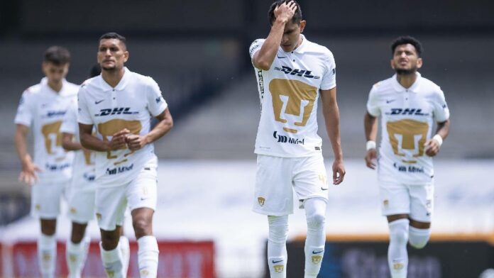 Pumas